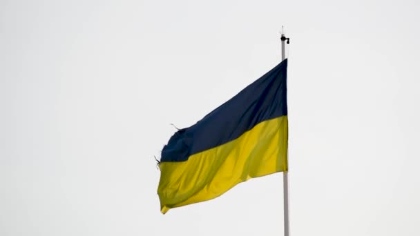 Ukrainian Flag Flutters Strong Wind — Stock Video