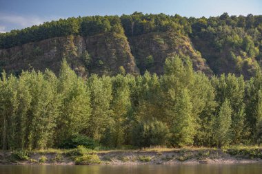 Karpatlar 'da bir dağ nehrinin sarp kayalık kıyıları