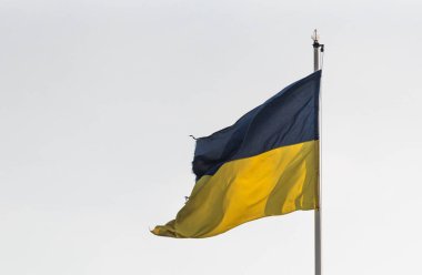 Güçlü rüzgarda dalgalanan Ukrayna bayrağı
