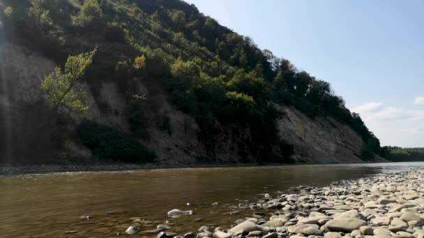 Τοπίο Του Καλοκαιρινού Ορεινού Ποταμού Τίσα Στα Καρπάθια — Αρχείο Βίντεο
