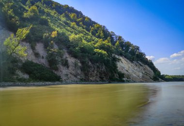 Karpatlar 'daki Tisza Nehri' nin yaz manzarası