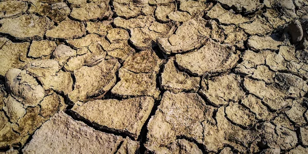 山の川のほとりの乾燥した割れた土 — ストック写真