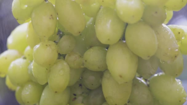Zbliżenie Grona Winogron Odmiany Banany Kroplami Deszczu — Wideo stockowe