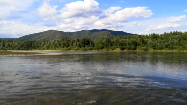 Krajobraz Letniej Górskiej Rzeki Cisy Karpatach — Wideo stockowe