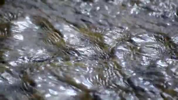 Die Textur Der Wellen Eines Gebirgsflusses Bei Sonnenuntergang — Stockvideo