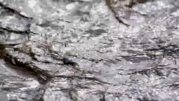 Текстура Хвиль Гірської Річки Заході Сонця — стокове відео