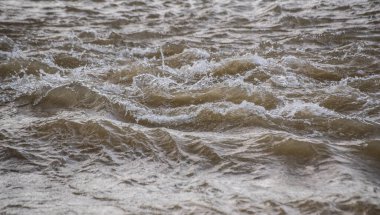 Karpat Dağları 'nda akan dağ nehri