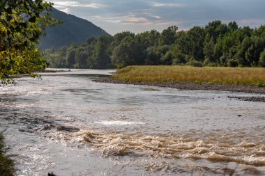 Karpatlar 'daki Tisza Nehri' nin yaz manzarası