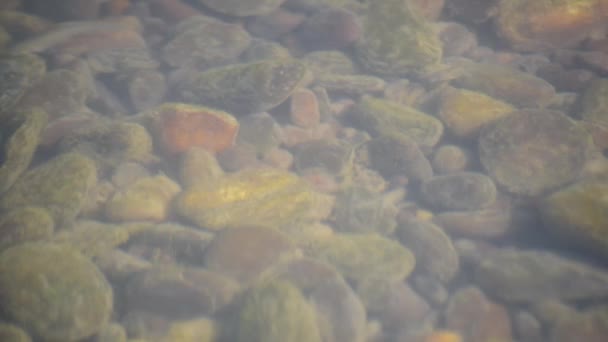 Underwater Scenery Mountain River Carpathians — Stockvideo