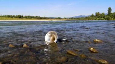 Landscape with French horn in a mountain river