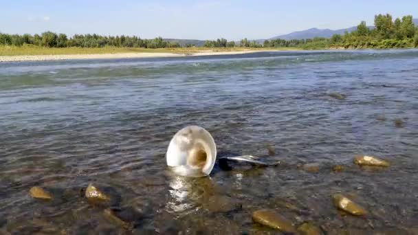 Landscape French Horn Mountain River — Stok video