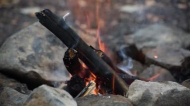 Sonbahar dağ ormanlarında şenlik ateşi