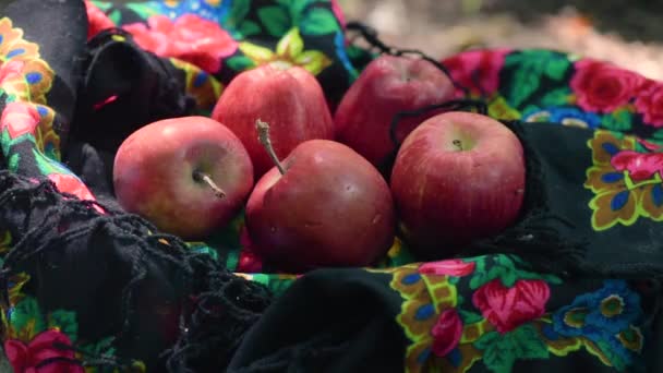 Czerwone Jabłka Kobiecym Kolorowym Szaliku — Wideo stockowe