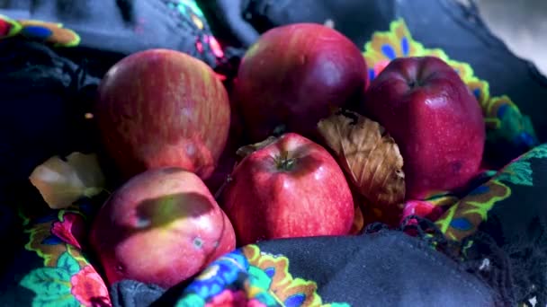 Красные Яблоки Женском Красочном Шарфе — стоковое видео
