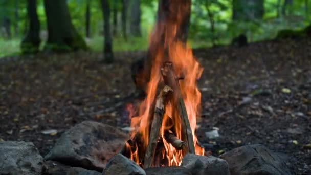Sonbahar Dağ Ormanlarında Şenlik Ateşi — Stok video