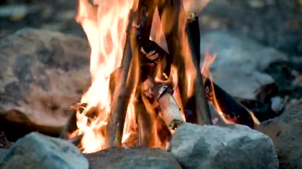 Bonfire ในป เขาฤด ใบไม — วีดีโอสต็อก