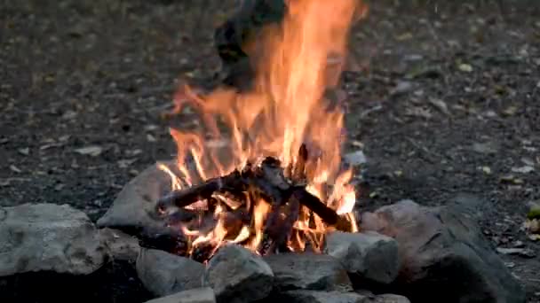 Bonfire Syksyllä Vuoristometsä — kuvapankkivideo