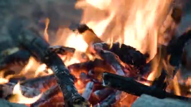 Bonfire Het Najaar Bergwoud — Stockvideo