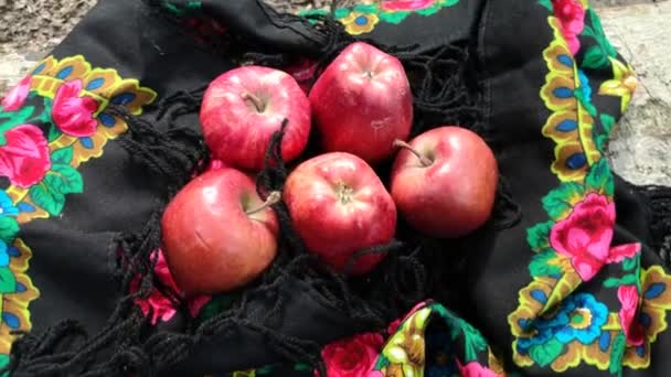 Pommes Rouges Dans Une Écharpe Colorée Pour Femmes — Video