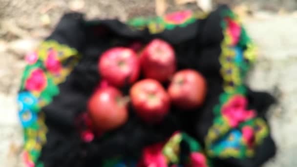 女性のカラフルなスカーフの赤いリンゴ — ストック動画