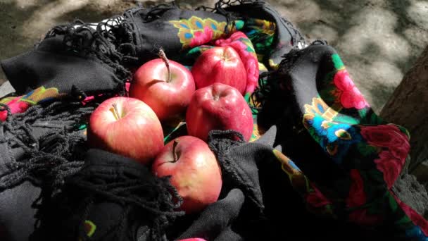 Manzanas Rojas Bufanda Colorida Una Mujer — Vídeo de stock