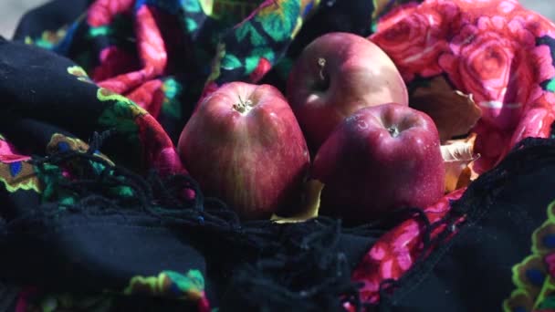 Červená Jablka Dámské Barevné Šále — Stock video