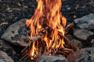 Sonbahar dağ ormanlarında şenlik ateşi