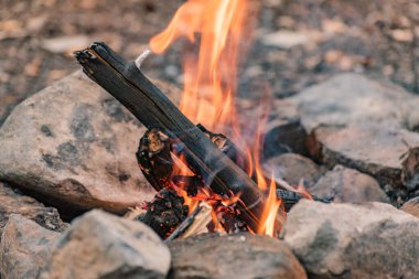 Sonbahar dağ ormanlarında şenlik ateşi