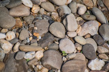Dağ nehrinin kıyısında çakıl taşları