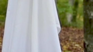 Sonbahar dağ ormanlarında hayalet