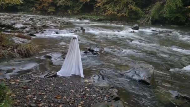 Fantasma Orilla Río Brumoso Montaña — Vídeo de stock