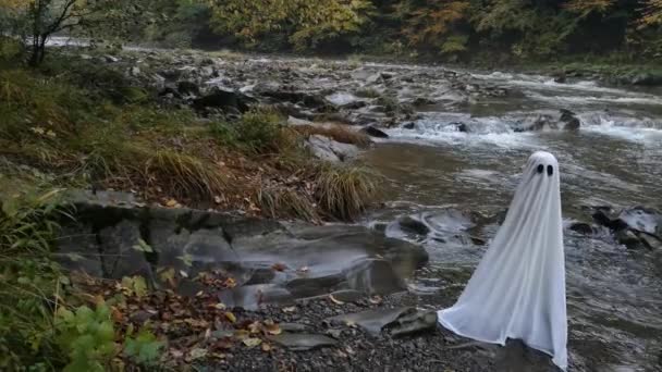 Fantasma Orilla Río Brumoso Montaña — Vídeo de stock