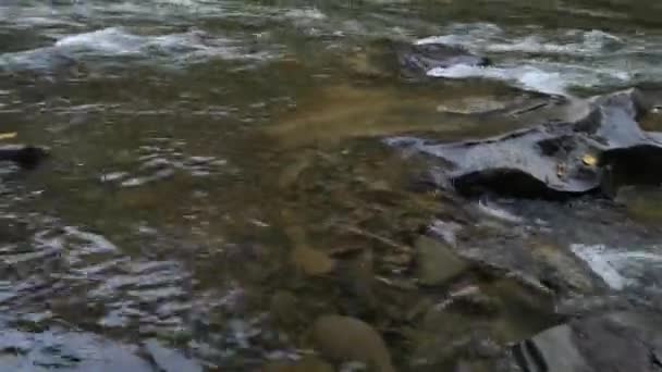 Duch Brzegu Górskiej Mglistej Rzeki — Wideo stockowe