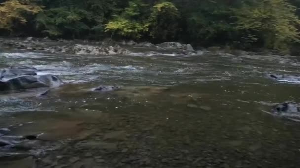 Привид Березі Річки Гірської Туманності — стокове відео