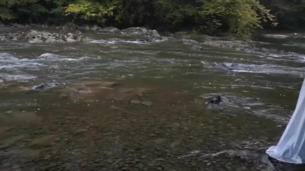 Dağ Sisli Bir Nehrin Kıyısında Hayalet — Stok video