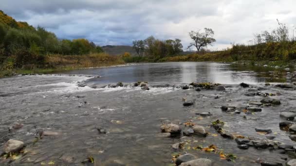 Φθινόπωρο Τοπίο Ενός Ορεινού Ποταμού — Αρχείο Βίντεο