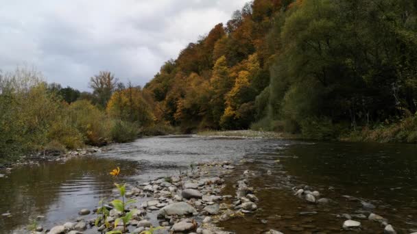 Jesienny Krajobraz Górskiej Rzeki — Wideo stockowe