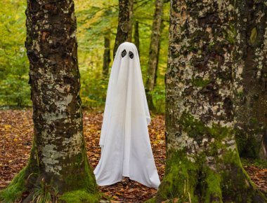 Sonbahar dağ ormanlarında hayalet