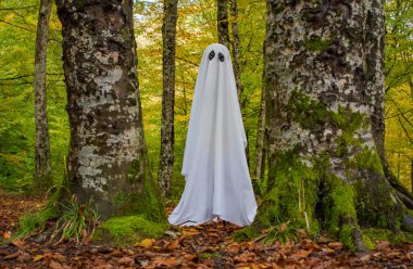 Sonbahar dağ ormanlarında hayalet