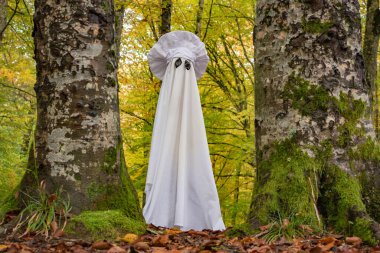 Sonbahar dağ ormanlarında hayalet