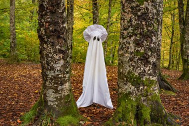 Sonbahar dağ ormanlarında hayalet