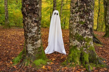 Sonbahar dağ ormanlarında hayalet