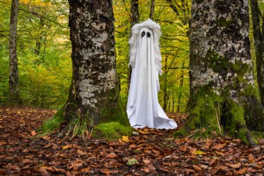 Sonbahar dağ ormanlarında hayalet