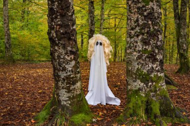 Sonbahar dağ ormanlarında hayalet