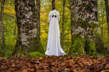 Sonbahar dağ ormanlarında hayalet