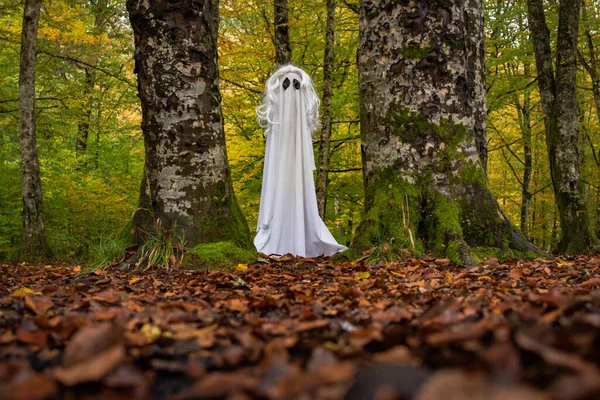 stock image Ghost in the autumn mountain forest