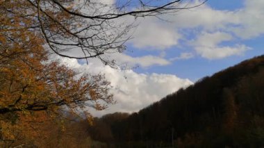Karpatlar 'da sonbahar fırtınalı bir arazinin zaman aşımı