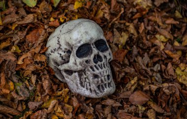 Düşen yapraklardan çıkan sahte bir kafatası.