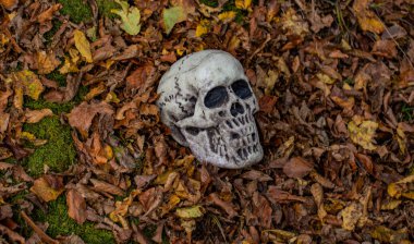 Düşen yapraklardan çıkan sahte bir kafatası.