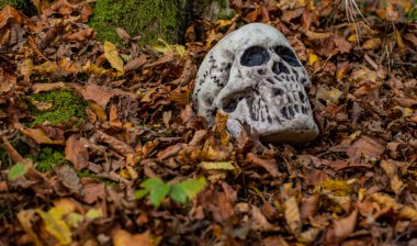 Düşen yapraklardan çıkan sahte bir kafatası.